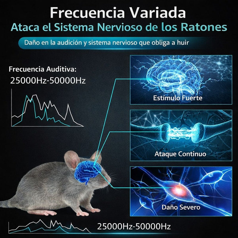 Repelente Ultrasónico para Ratas y Ratones 360°. Control de Plagas Electrónico Interior 300 m² color negro cargador USB C