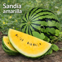Semillas