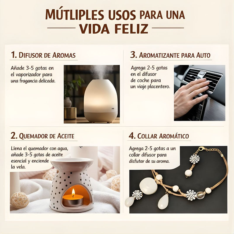 Aceites Esenciales Para Aromaterapia 10ml (Set de 12 piezas). Fragancias Variadas para Difusores de Hogar y Auto.
