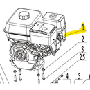 Motor de gasolina H170F para WTL2A75 (WSP02162050)