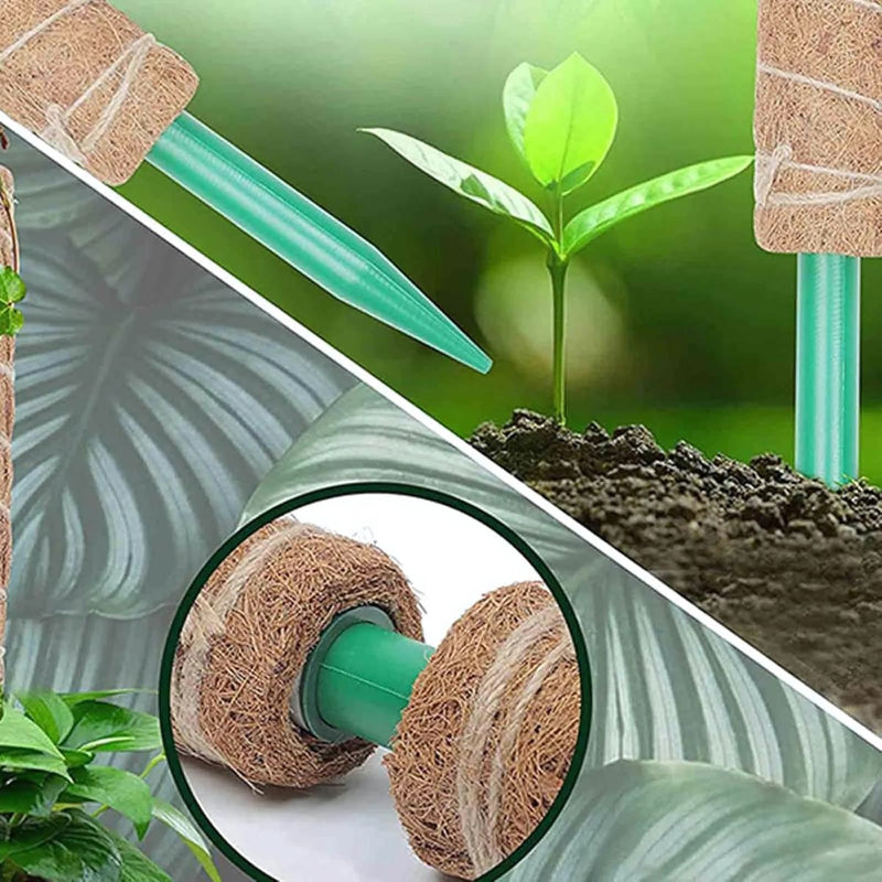 Poste De Fibra De Coco Natural 52cm x 12 cm Para Plantas trepadoras (Unidad). Poste de musgo. Ideal para enderezar y guiar plantas.