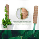 Poste De Fibra De Coco Natural 52cm x 12 cm Para Plantas trepadoras (Unidad). Poste de musgo. Ideal para enderezar y guiar plantas.