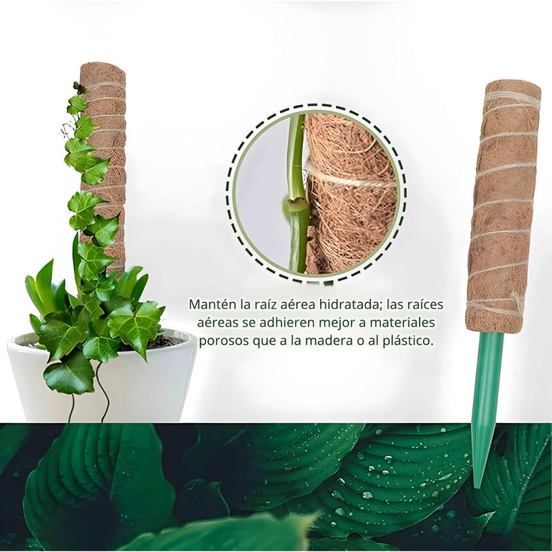 Poste De Fibra De Coco Natural 52cm x 12 cm Para Plantas trepadoras (Unidad). Poste de musgo. Ideal para enderezar y guiar plantas.