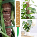 Poste De Fibra De Coco Natural 52cm x 12 cm Para Plantas trepadoras (Unidad). Poste de musgo. Ideal para enderezar y guiar plantas.