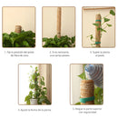 Poste De Fibra De Coco Natural 52cm x 12 cm Para Plantas trepadoras (Unidad). Poste de musgo. Ideal para enderezar y guiar plantas.