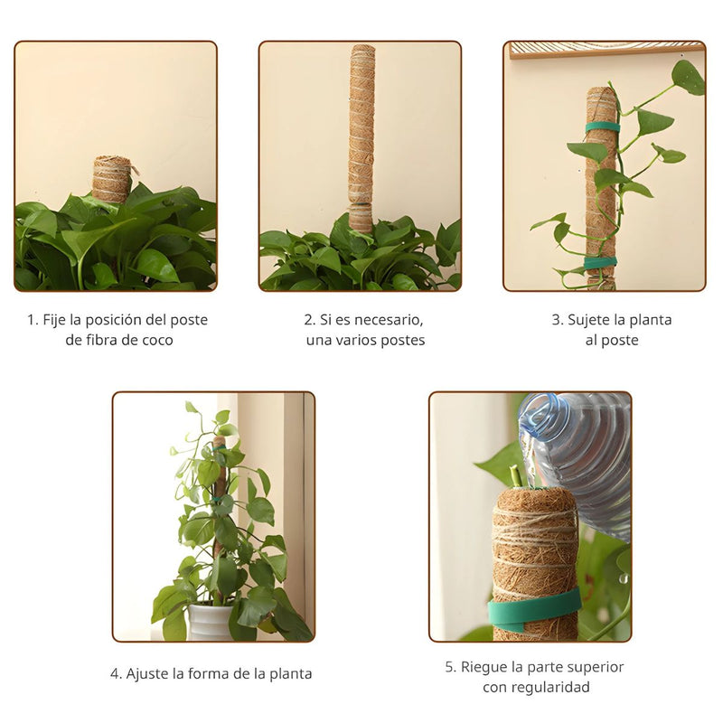 Poste De Fibra De Coco Natural 52cm x 12 cm Para Plantas trepadoras (Unidad). Poste de musgo. Ideal para enderezar y guiar plantas.