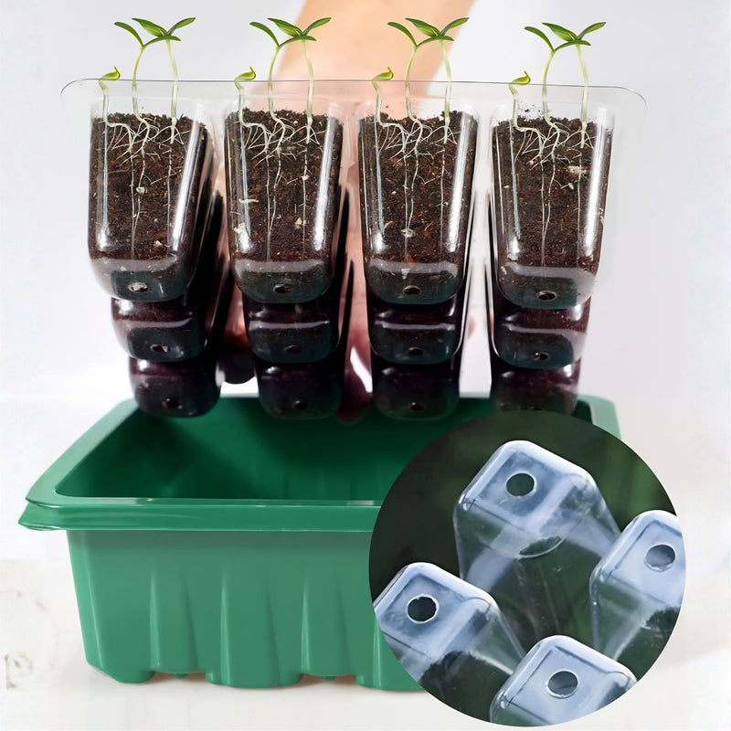 Semillero Germinador con Luz LED USB 12 Celdas (5 Bandejas). con Cúpula de Humedad Invernadero Portátil para Huerto Casero y Vivero. Color Verde