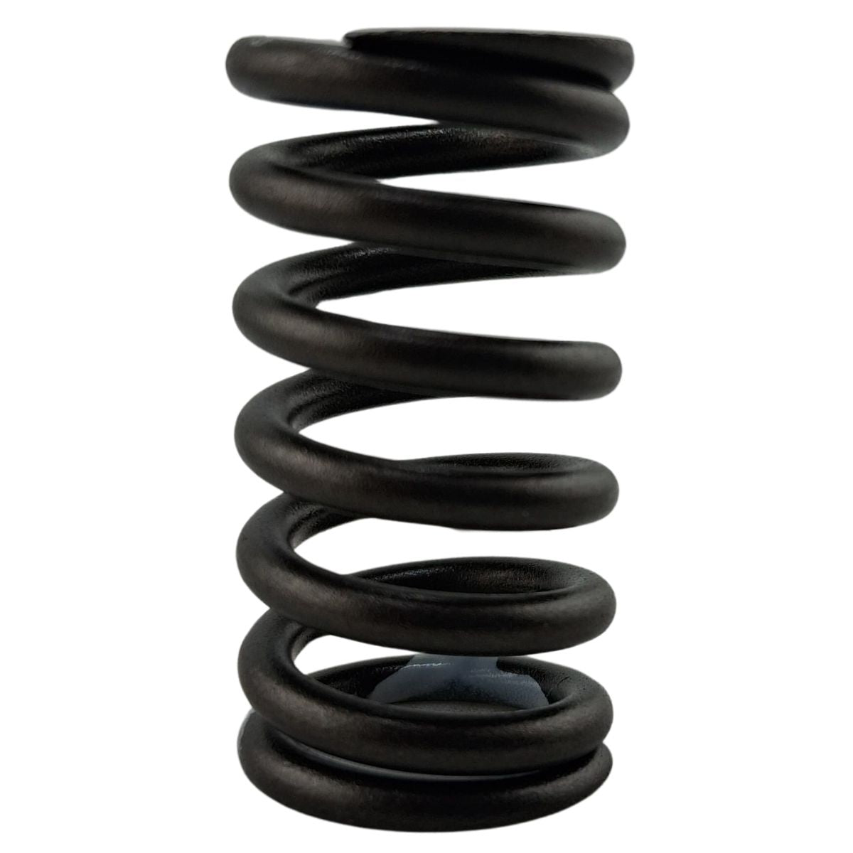 Resorte interior (TX200)