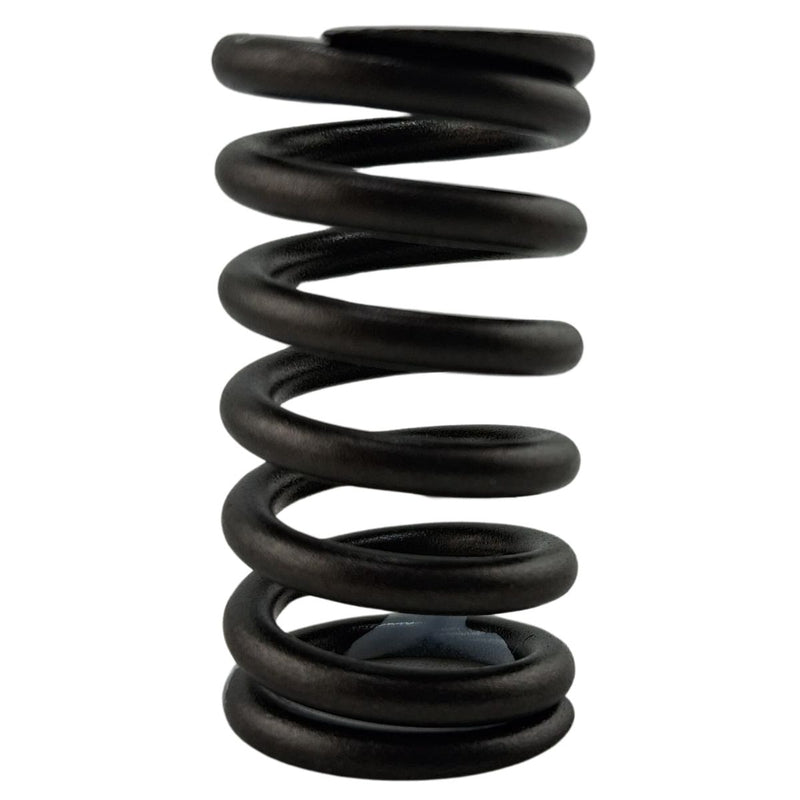 Resorte interior (TX200)