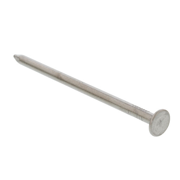 Clavos comunes de 4" (20D)