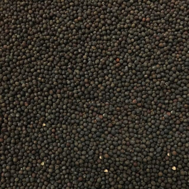 Semillas de repollo, cabeza de bola danesa (100% Heirloom/No Híbrido/No GMO). 45 semillas aprox.