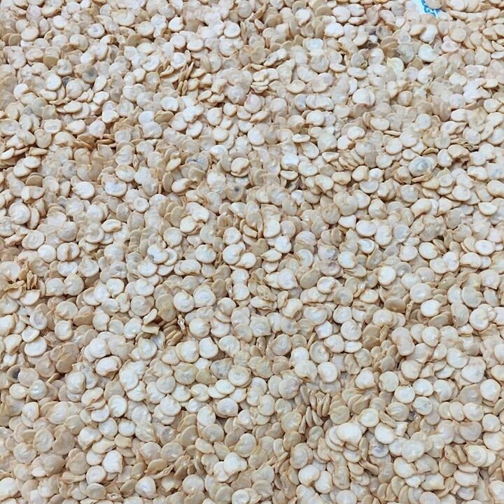 Semillas de aji dulce, California Wonder (100% Heirloom/No Híbrido/No GMO). 15 semillas aprox.