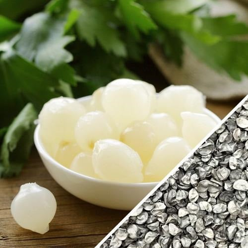 Semillas de cebolla pequeña, Barletta (100% Heirloom/No Híbrido/No GMO). 100 semillas aprox.