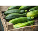Semillas de zucchini (100% Heirloom/No Híbrido/No GMO). 10 semillas aproximadamente.