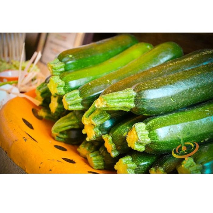 Semillas de zucchini (100% Heirloom/No Híbrido/No GMO). 10 semillas aproximadamente.
