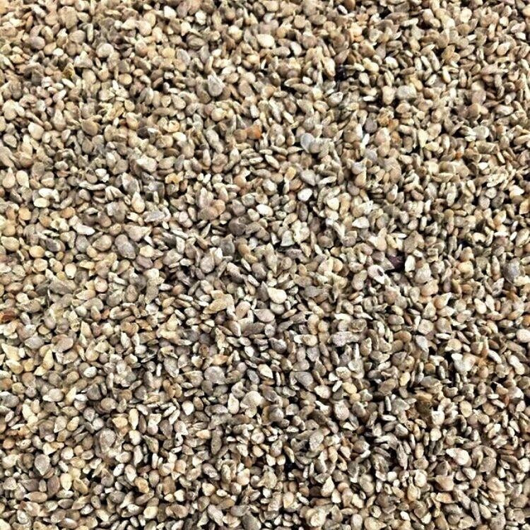 Semillas de tomate uva verde (100% Heirloom/No Híbrido/No GMO). 15 semillas aproximadamente