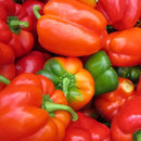 Semillas de aji dulce, California Wonder (100% Heirloom/No Híbrido/No GMO). 15 semillas aprox.