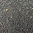 Semillas de col rizada enana, siberiana (100% Heirloom/No Híbrido/No GMO). 70 semillas aprox.