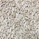 Semillas de pepino limón (100% Heirloom/No Híbrido/No GMO). 10 semillas aproximadamente.