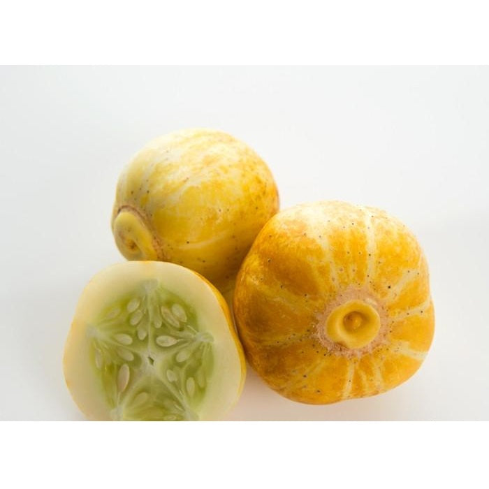 Semillas de pepino limón (100% Heirloom/No Híbrido/No GMO). 10 semillas aproximadamente.