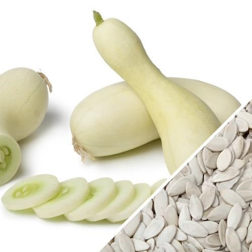 Semillas de pepino, maravilla blanca (100% Heirloom/No Híbrido/No GMO). 10 semillas aproximadamente.