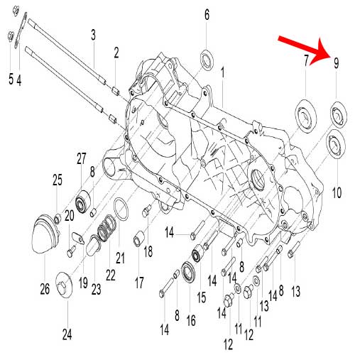 Rodamiento (K-BLADE125)