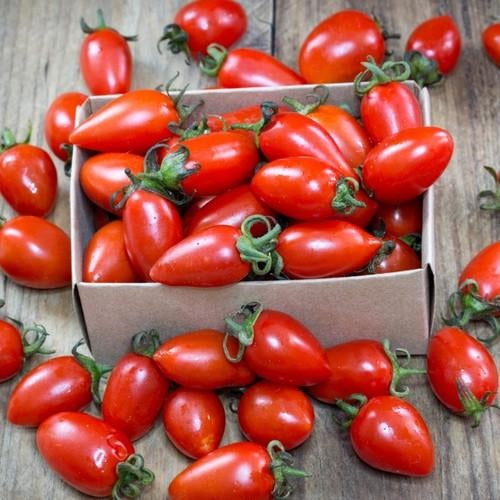 Semillas de tomate, San Marzano. 15 semillas aproximadamente.