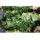 Semillas de col rizada enana, siberiana (100% Heirloom/No Híbrido/No GMO). 70 semillas aprox.