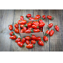 Semillas de tomate, San Marzano. 15 semillas aproximadamente.