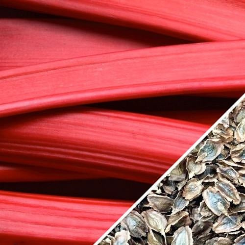 Semillas de ruibarbo, Victoria (100% Heirloom/No Híbrido/No GMO). 20 semillas aproximadamente