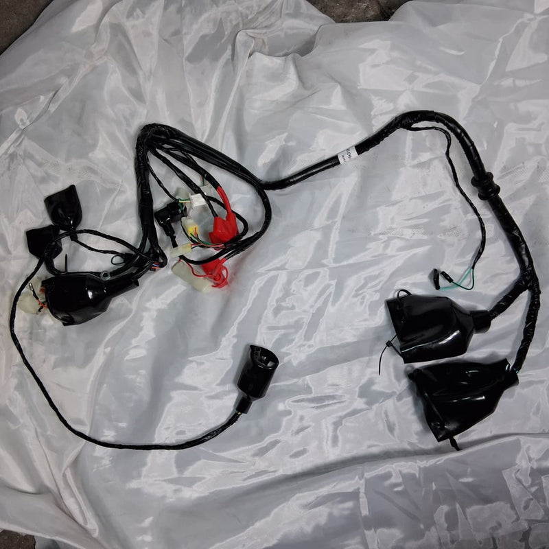 Ramal de cables principal (MINNIX150) MAIN CABLE