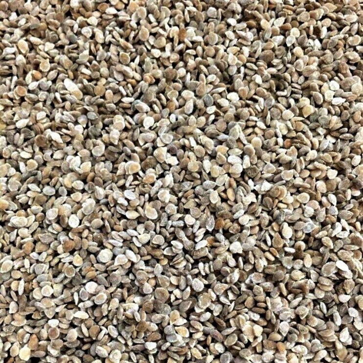 Semillas de tomate cherry rojo grande (100% Heirloom/No Híbrido/No GMO). 15 semillas aproximadamente