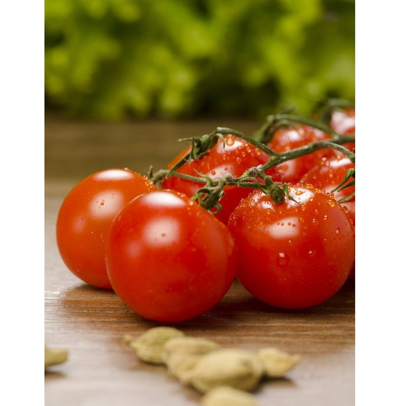 Semillas de tomate cherry rojo grande (100% Heirloom/No Híbrido/No GMO). 15 semillas aproximadamente