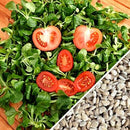 Semillas de tomate cherry rojo grande (100% Heirloom/No Híbrido/No GMO). 15 semillas aproximadamente