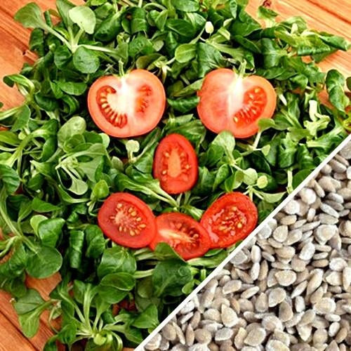 Semillas de tomate cherry rojo grande (100% Heirloom/No Híbrido/No GMO). 15 semillas aproximadamente