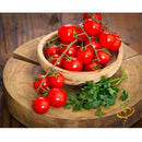 Semillas de tomate cherry rojo grande (100% Heirloom/No Híbrido/No GMO). 15 semillas aproximadamente