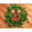 Semillas de tomate cherry rojo grande (100% Heirloom/No Híbrido/No GMO). 15 semillas aproximadamente