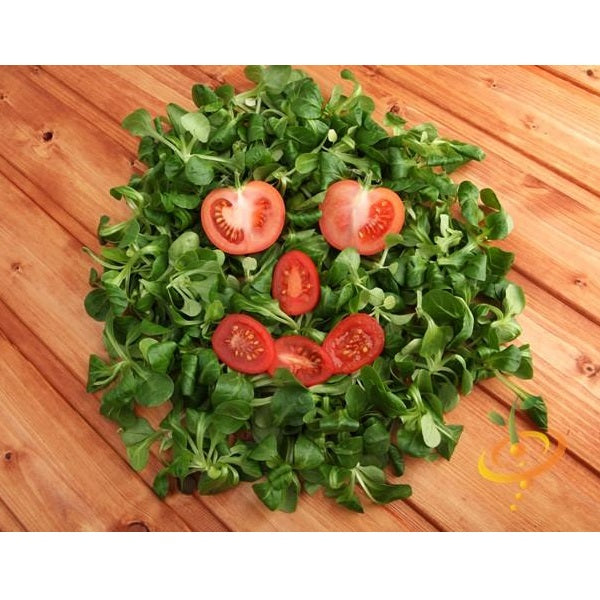 Semillas de tomate cherry rojo grande (100% Heirloom/No Híbrido/No GMO). 15 semillas aproximadamente