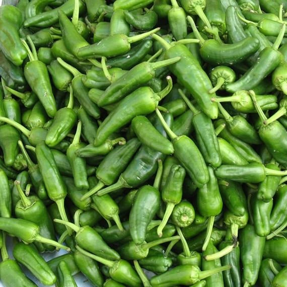 Semillas de aji picante ligero, Ancho Grande (100% Heirloom/No Híbrido/No GMO). 10 semillas aprox.