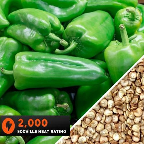 Semillas de aji picante ligero, Ancho Grande (100% Heirloom/No Híbrido/No GMO). 10 semillas aprox.