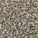 Semillas de lechuga, Mezcla Gourmet Mesclun (100% Heirloom/No Híbrido/No GMO). 200 semillas aprox.