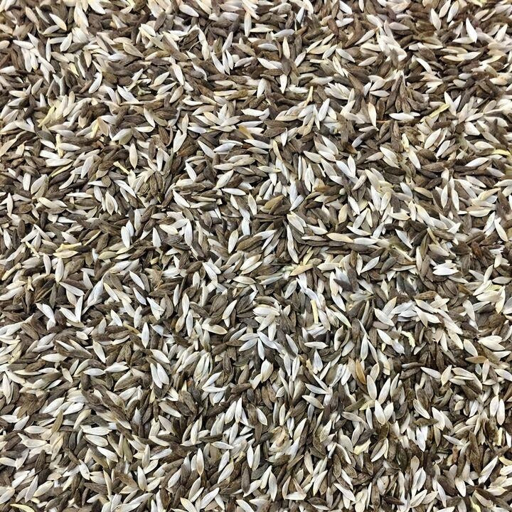 Semillas de lechuga, Mezcla Gourmet Mesclun (100% Heirloom/No Híbrido/No GMO). 200 semillas aprox.