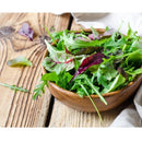 Semillas de lechuga, Mezcla Gourmet Mesclun (100% Heirloom/No Híbrido/No GMO). 200 semillas aprox.