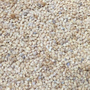 Semillas de berenjena, Pandora (100% Heirloom/No Híbrido/No GMO). 10 semillas aproximadamente.