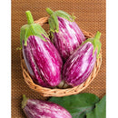 Semillas de berenjena, Pandora (100% Heirloom/No Híbrido/No GMO). 10 semillas aproximadamente.