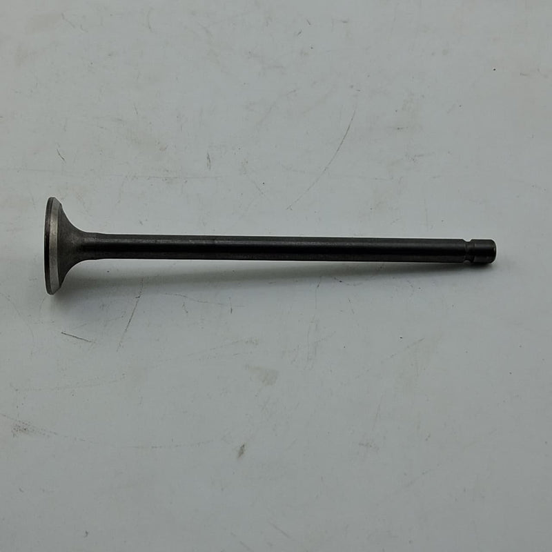 Valvula de escape (TNT135) EXHAUST VALVE