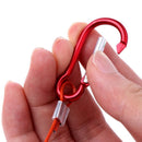 Linea para sujetar peces vivos ganchos y flotador