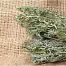 Semillas de ajenjo, Hierba medicinal (100% Heirloom / No Híbrido / No GMO). 300 semillas aprox.