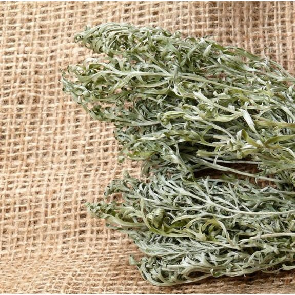 Semillas de ajenjo, Hierba medicinal (100% Heirloom / No Híbrido / No GMO). 300 semillas aprox.