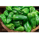 Semillas de aji picante ligero, Ancho Grande (100% Heirloom/No Híbrido/No GMO). 10 semillas aprox.